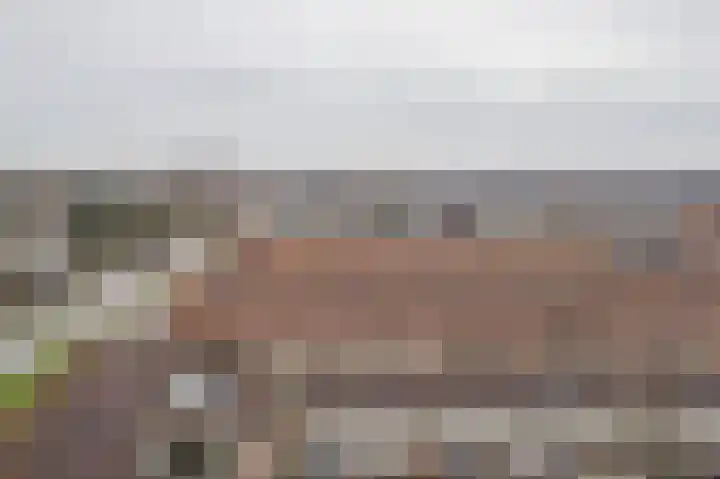 Vrijheer van Eslaan 399 Papendrecht thumbnail 13