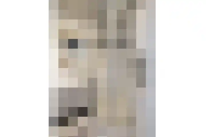 Vrijheer van Eslaan 399 Papendrecht thumbnail 14