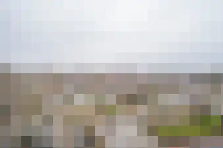 Vrijheer van Eslaan 399 Papendrecht thumbnail 4