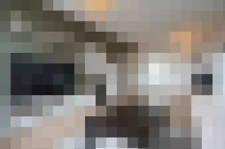 Vrijheer van Eslaan 399 Papendrecht thumbnail 8