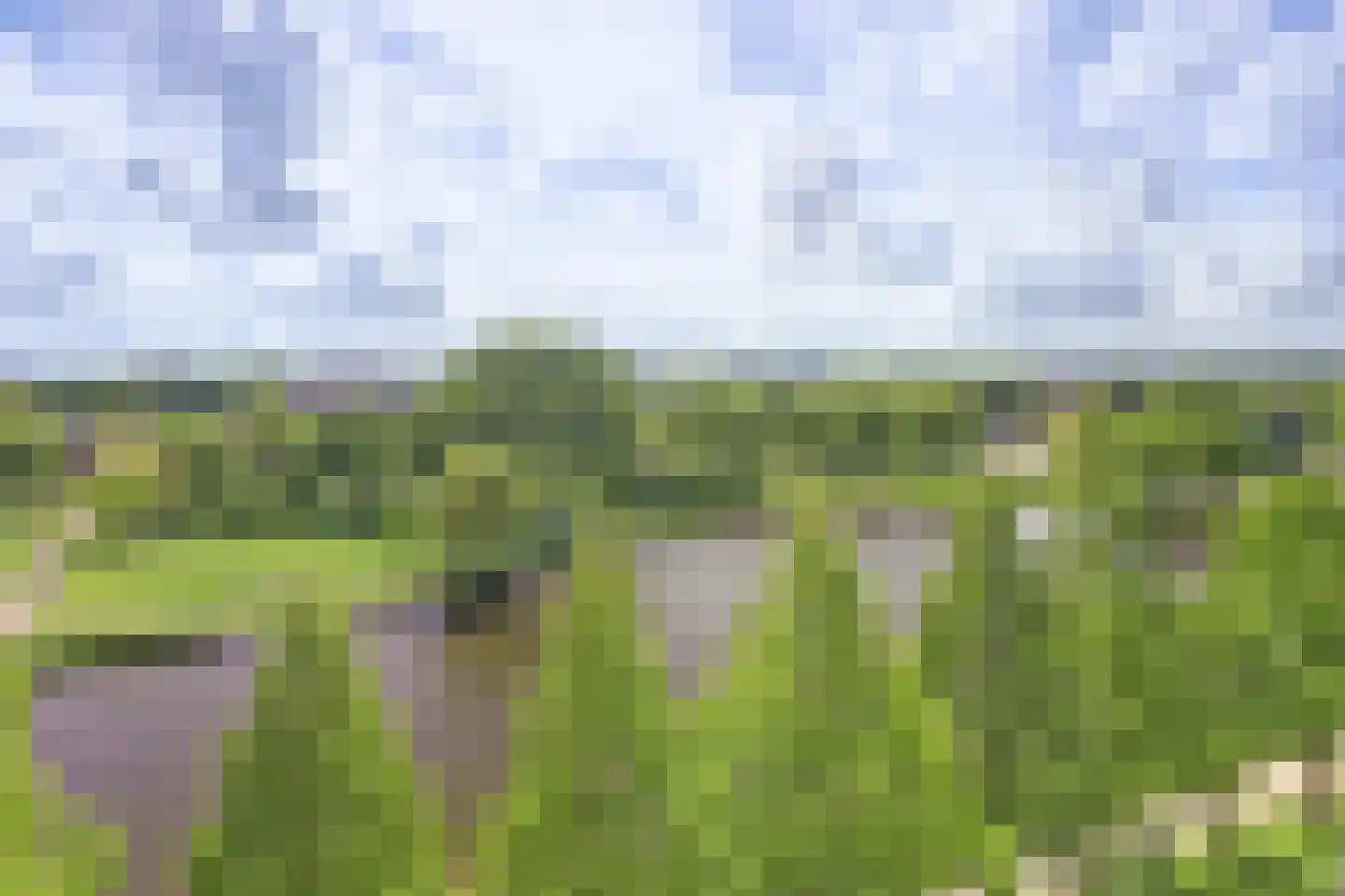Vrijheer van Eslaan 407 Papendrecht thumbnail 24
