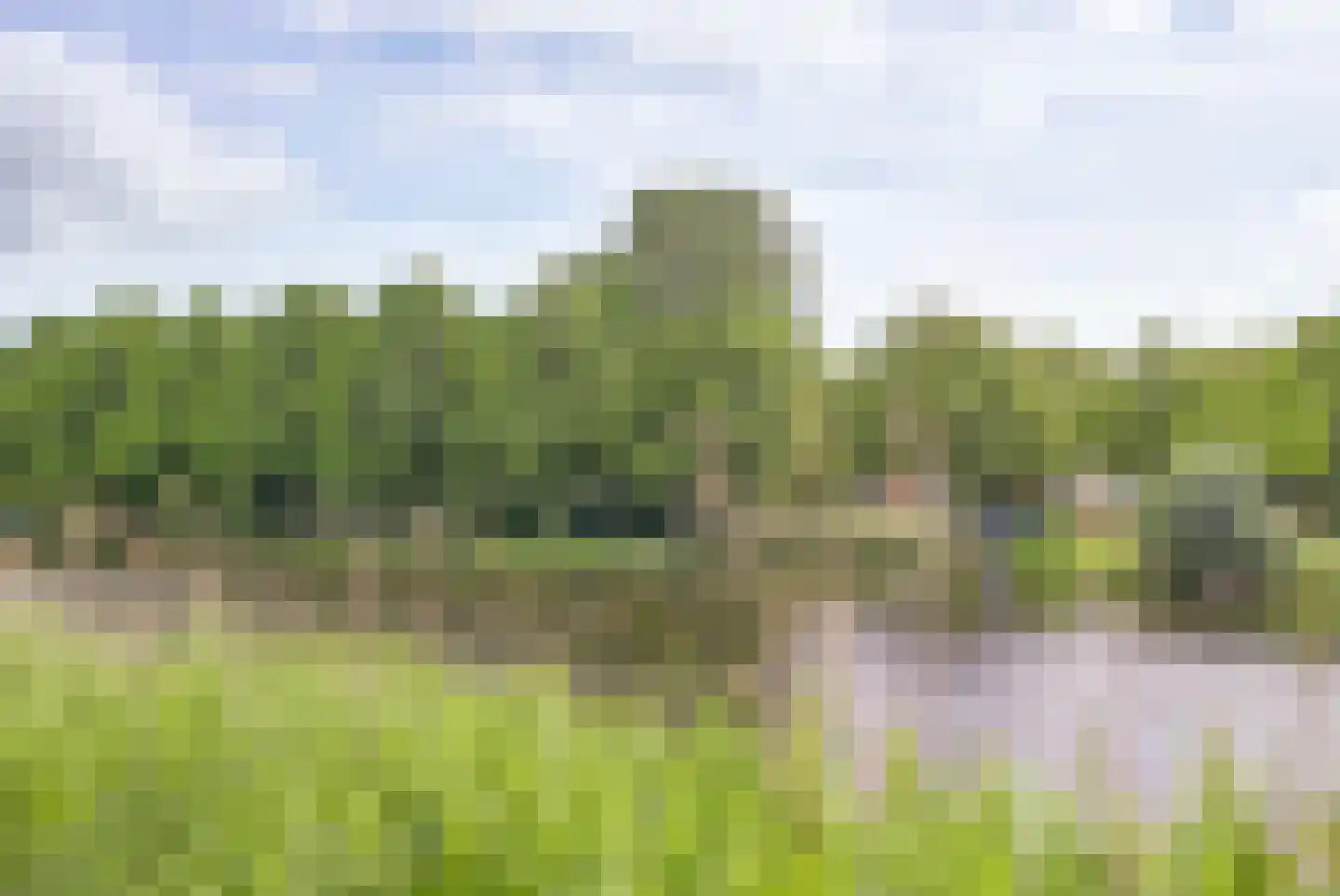 Vrijheer van Eslaan 407 Papendrecht thumbnail 28