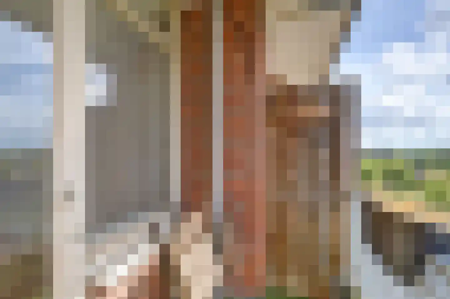 Vrijheer van Eslaan 407 Papendrecht thumbnail 4
