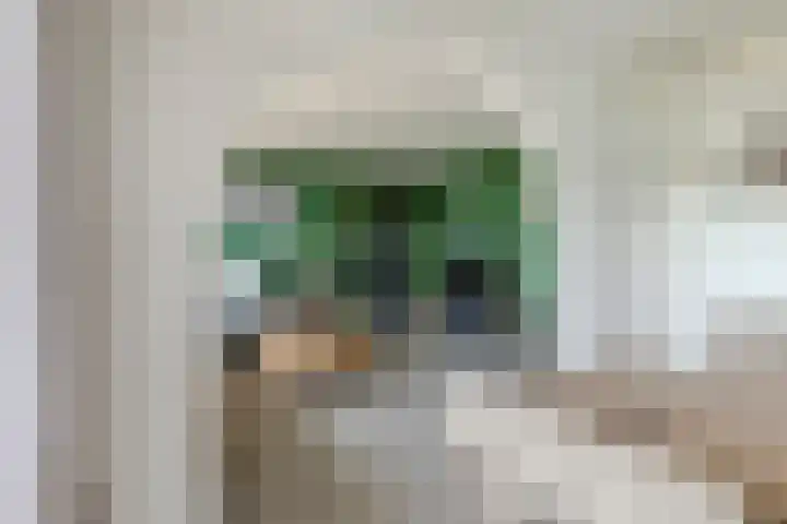 Vrijheer van Eslaan 419 Papendrecht thumbnail 11