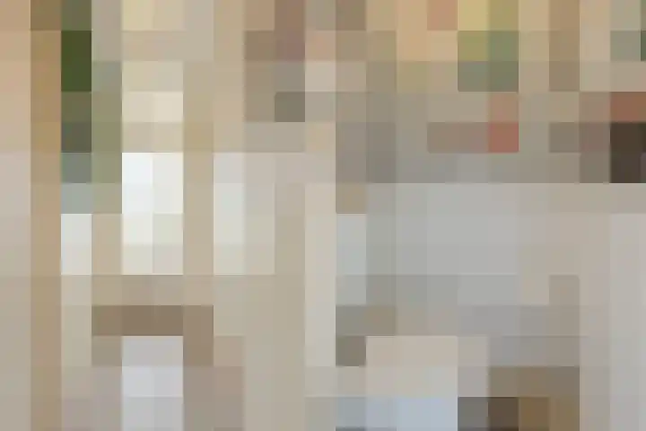 Vrijheer van Eslaan 419 Papendrecht thumbnail 12