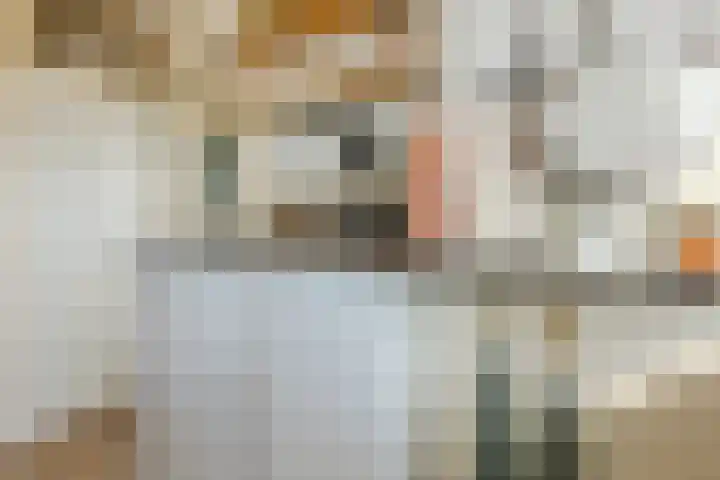 Vrijheer van Eslaan 419 Papendrecht thumbnail 13