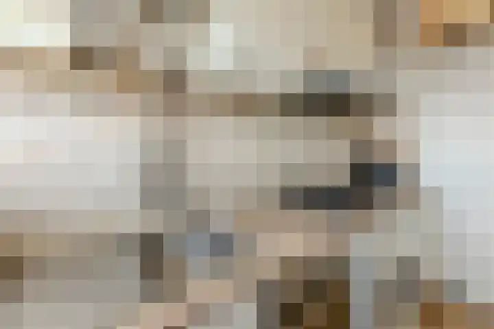 Vrijheer van Eslaan 419 Papendrecht thumbnail 14