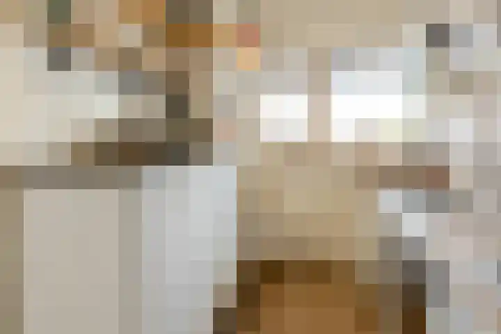 Vrijheer van Eslaan 419 Papendrecht thumbnail 15