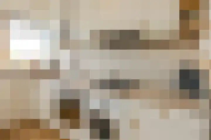 Vrijheer van Eslaan 419 Papendrecht thumbnail 16