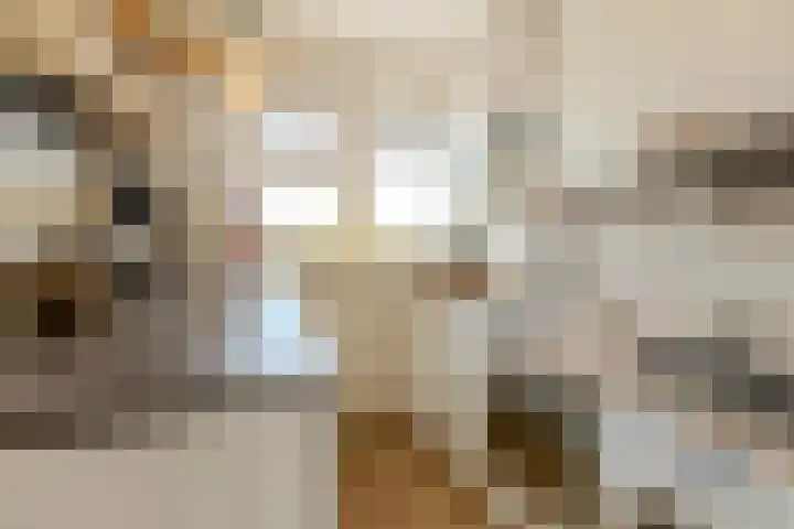 Vrijheer van Eslaan 419 Papendrecht thumbnail 17