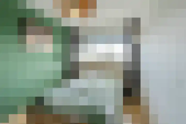 Vrijheer van Eslaan 419 Papendrecht thumbnail 20