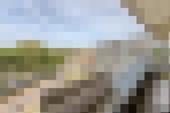 Vrijheer van Eslaan 419 Papendrecht thumbnail 25
