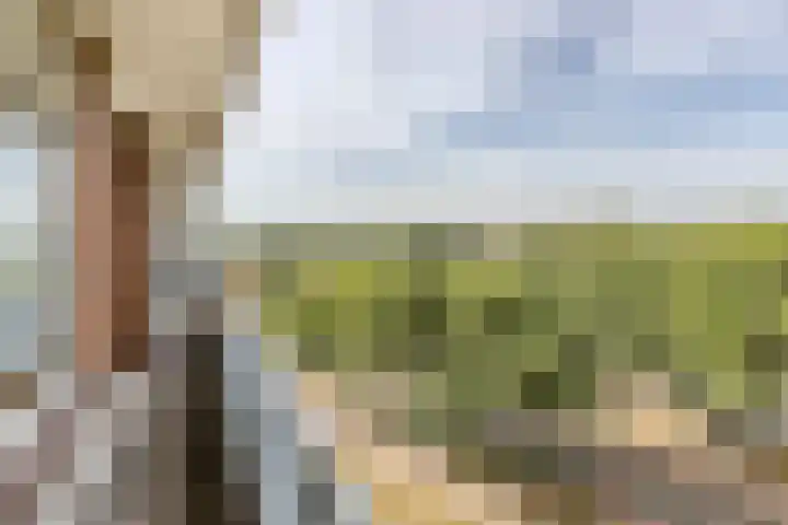 Vrijheer van Eslaan 419 Papendrecht thumbnail 26