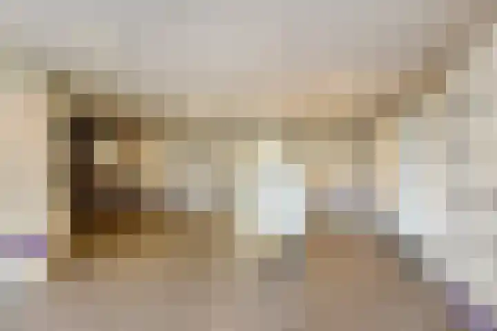 Vrijheer van Eslaan 419 Papendrecht thumbnail 28