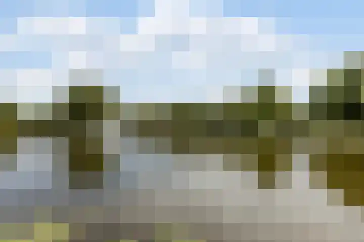 Vrijheer van Eslaan 419 Papendrecht thumbnail 29