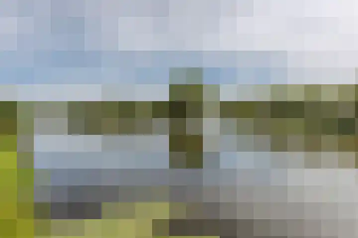 Vrijheer van Eslaan 419 Papendrecht thumbnail 30