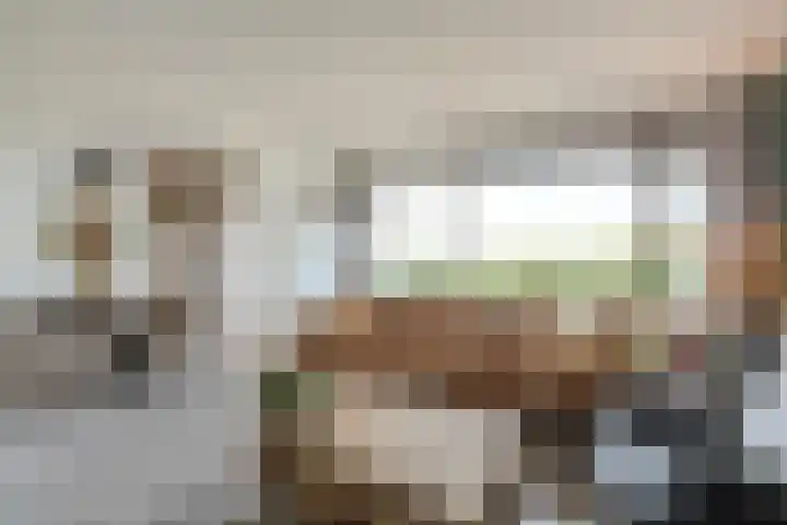 Vrijheer van Eslaan 419 Papendrecht thumbnail 4