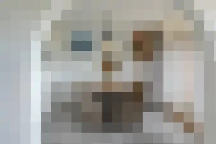 Vrijheer van Eslaan 419 Papendrecht thumbnail 6