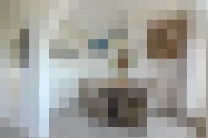 Vrijheer van Eslaan 419 Papendrecht thumbnail 7