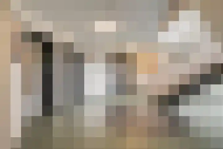 Vrijheer van Eslaan 455 Papendrecht thumbnail 14