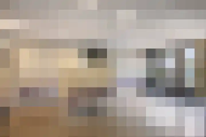 Vrijheer van Eslaan 455 Papendrecht thumbnail 15