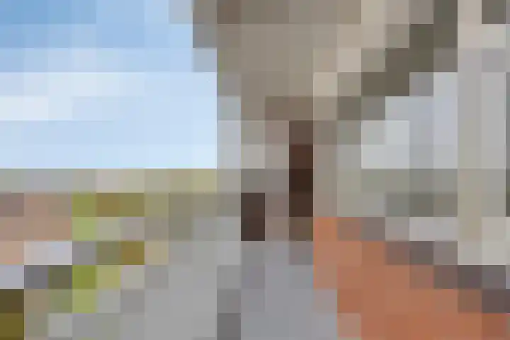 Vrijheer van Eslaan 455 Papendrecht thumbnail 19