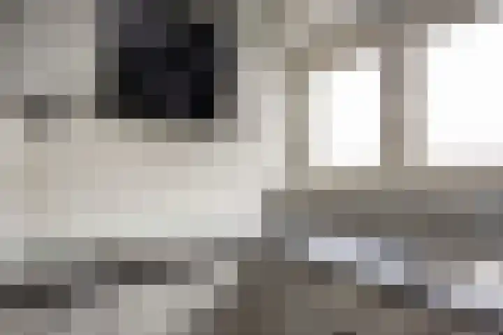 Vrijheer van Eslaan 455 Papendrecht thumbnail 30