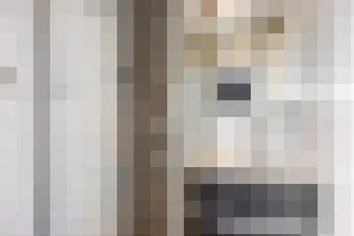 Vrijheer van Eslaan 455 Papendrecht thumbnail 33