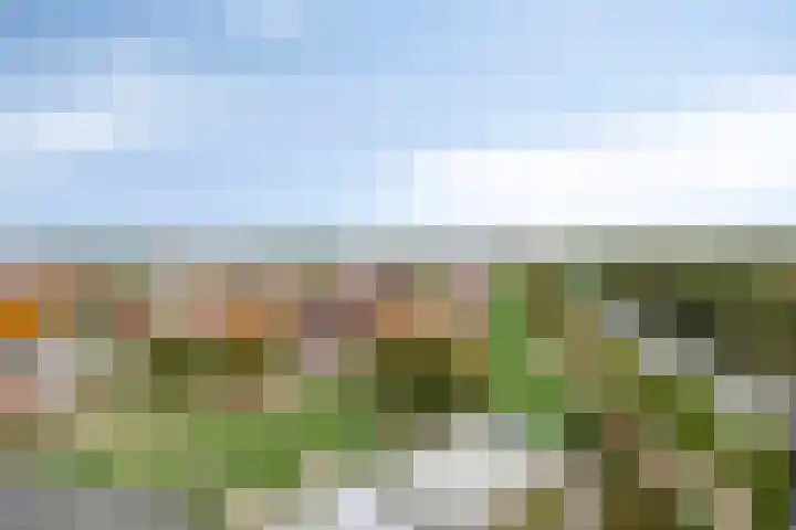 Vrijheer van Eslaan 455 Papendrecht thumbnail 42