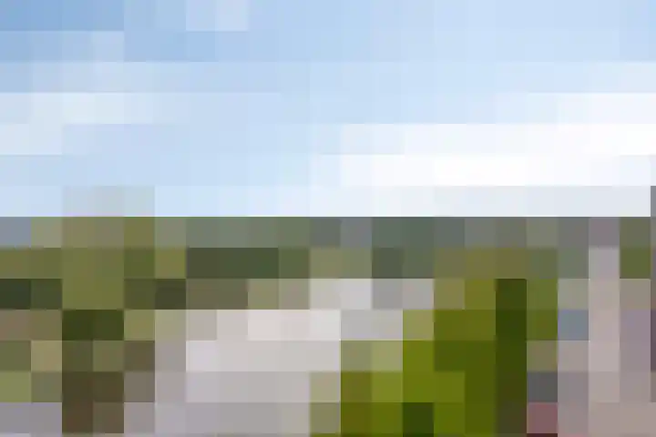 Vrijheer van Eslaan 455 Papendrecht thumbnail 43