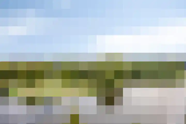 Vrijheer van Eslaan 455 Papendrecht thumbnail 44