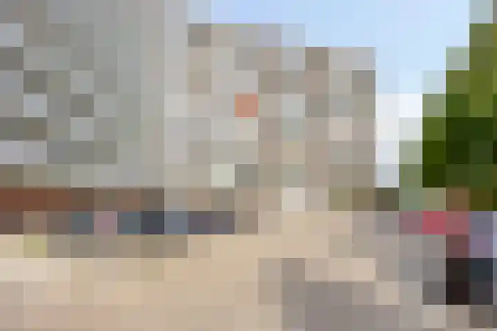 Vrijheer van Eslaan 455 Papendrecht thumbnail 5