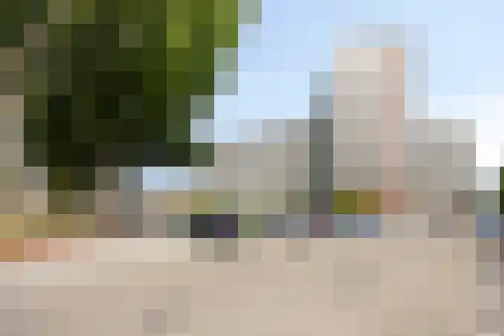 Vrijheer van Eslaan 455 Papendrecht thumbnail 6