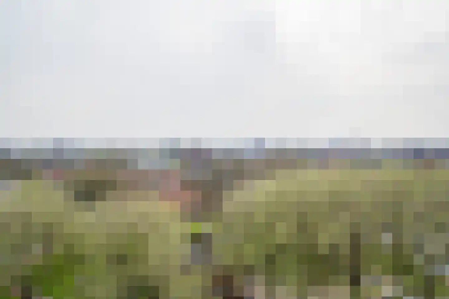 Vrijheer van Eslaan 457 Papendrecht thumbnail 17