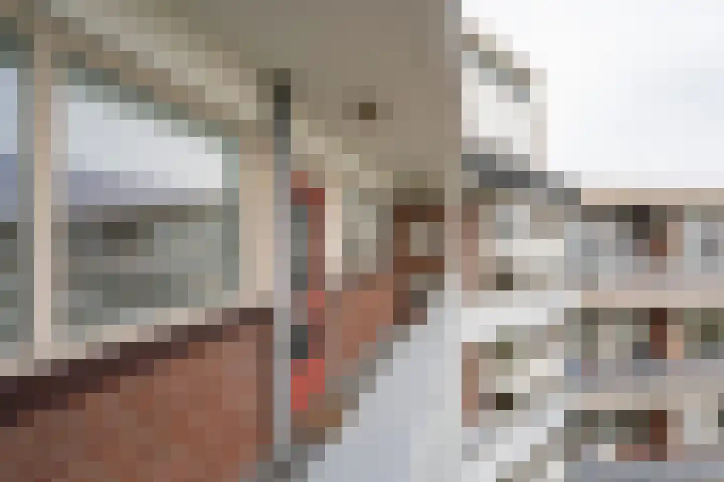 Vrijheer van Eslaan 457 Papendrecht thumbnail 20