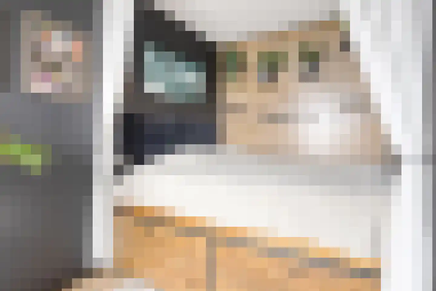 Vrijheer van Eslaan 461 Papendrecht thumbnail 10