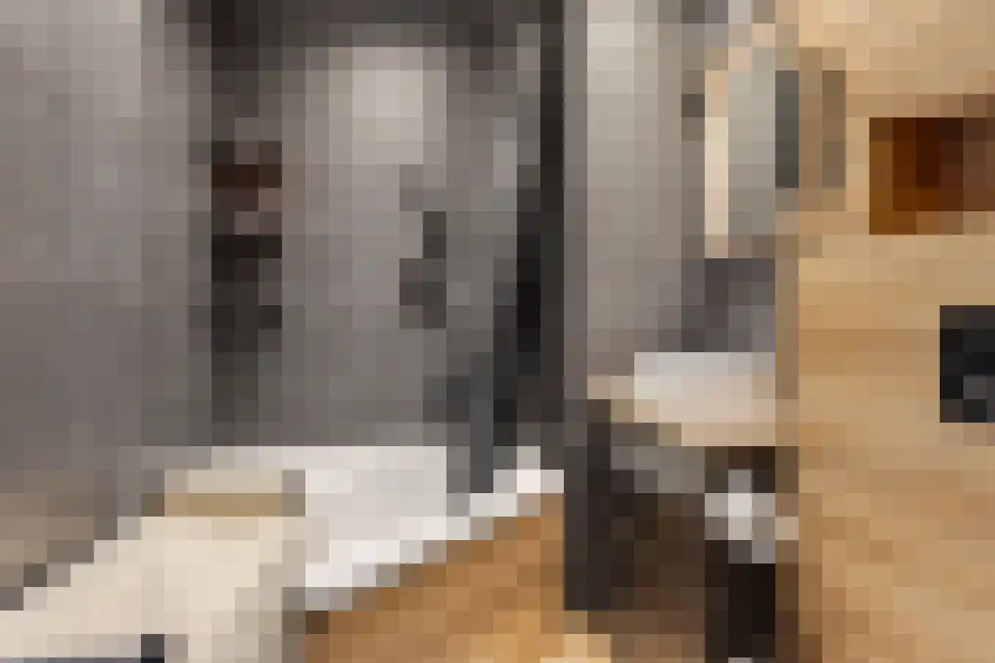 Vrijheer van Eslaan 461 Papendrecht thumbnail 14
