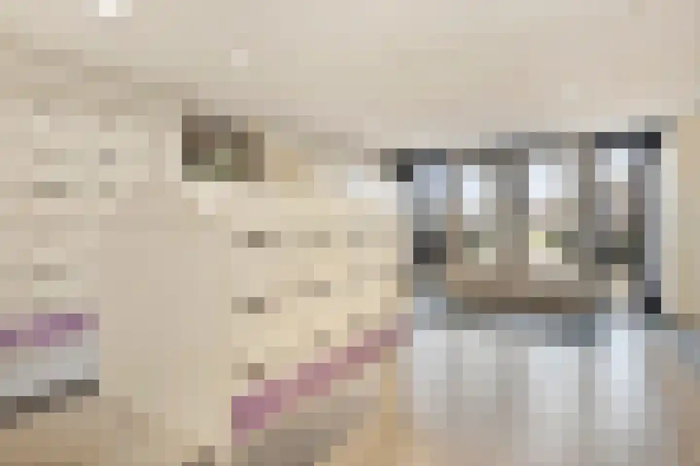 Vrijheer van Eslaan 461 Papendrecht thumbnail 18