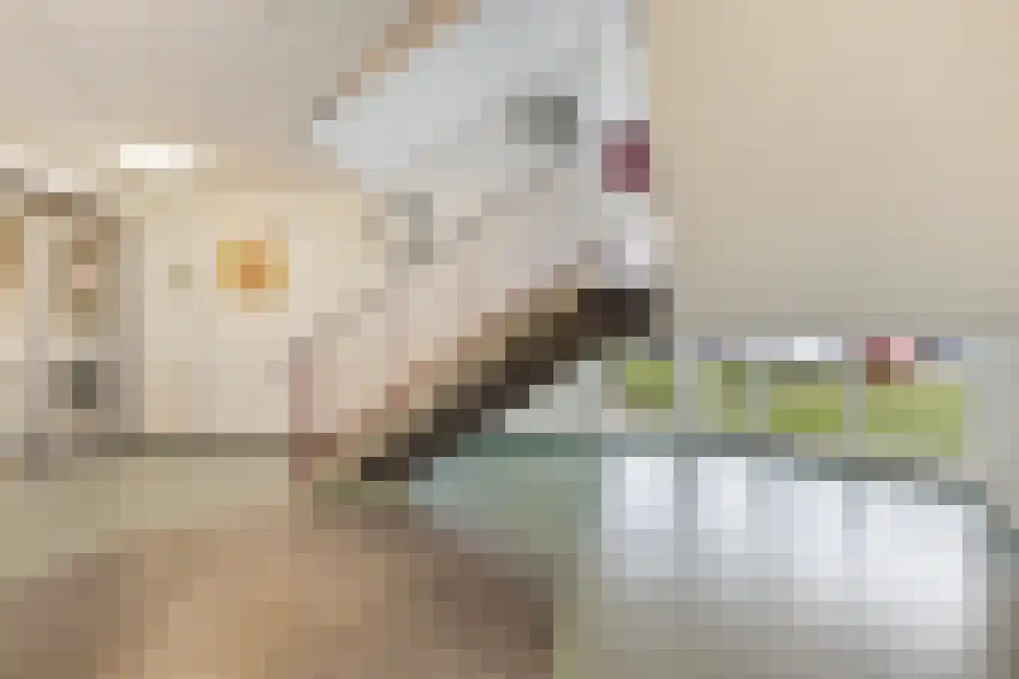 Vrijheer van Eslaan 461 Papendrecht thumbnail 20