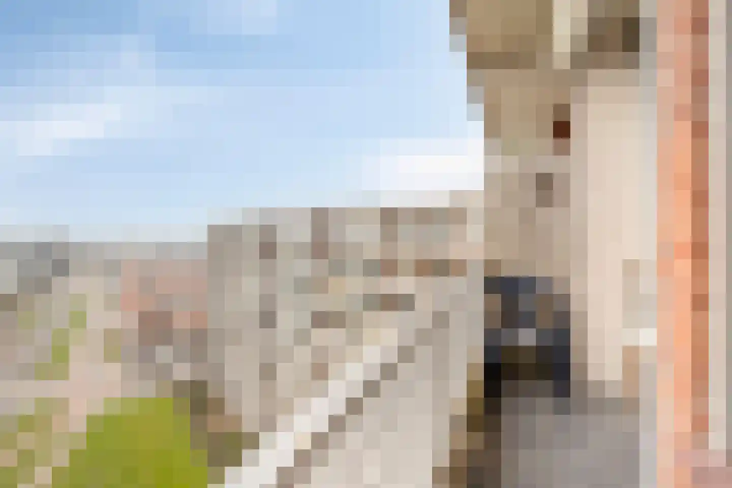 Vrijheer van Eslaan 461 Papendrecht thumbnail 22