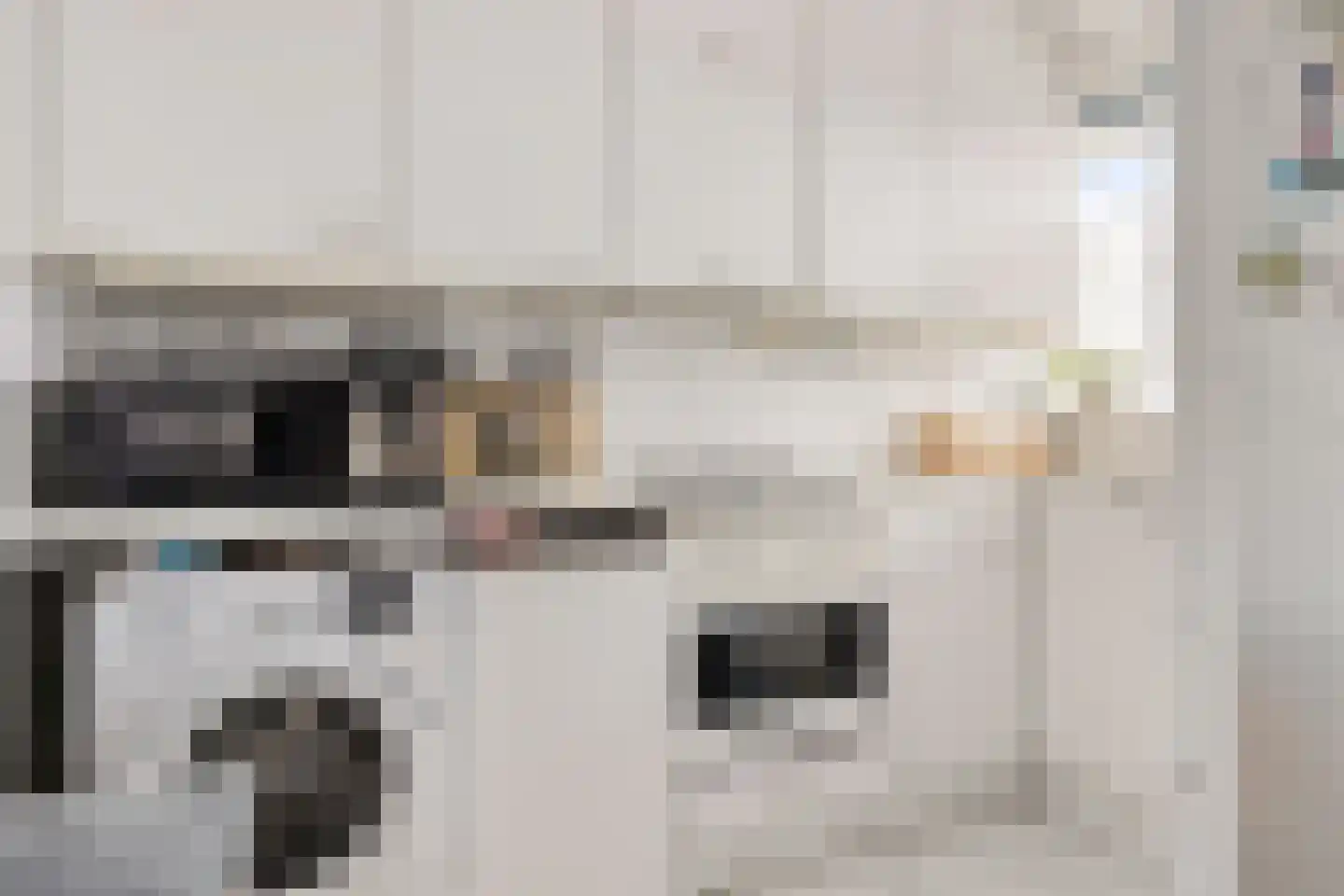 Vrijheer van Eslaan 461 Papendrecht thumbnail 9