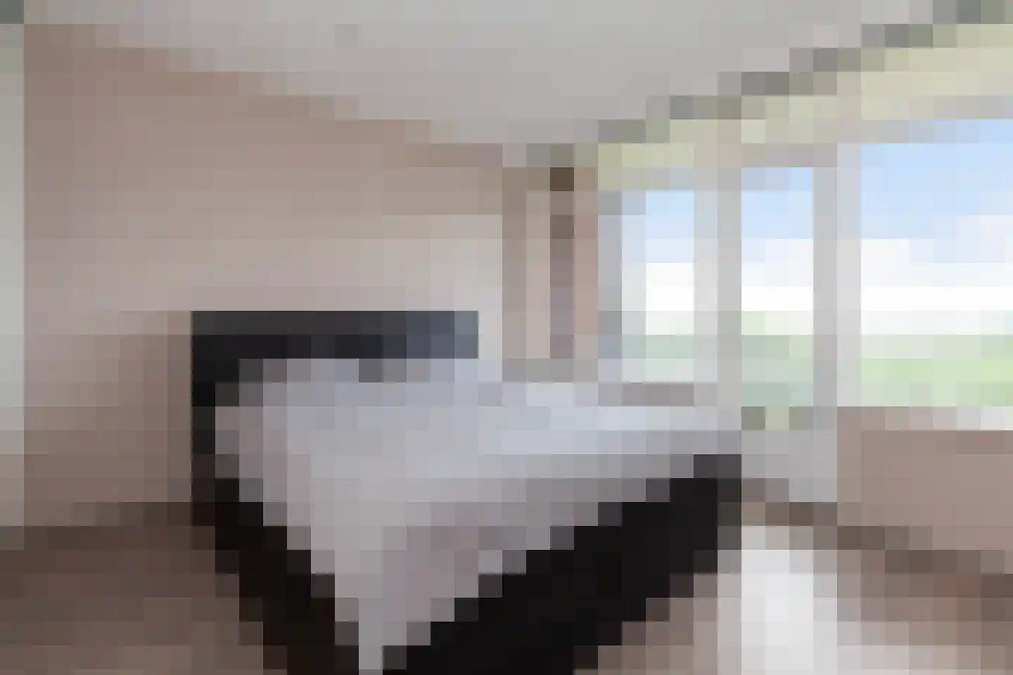 Vrijheer van Eslaan 467 Papendrecht thumbnail 13