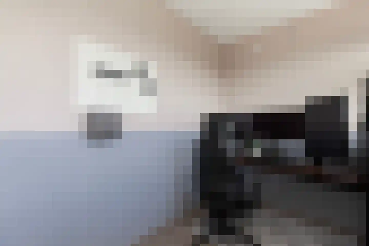 Vrijheer van Eslaan 467 Papendrecht thumbnail 17