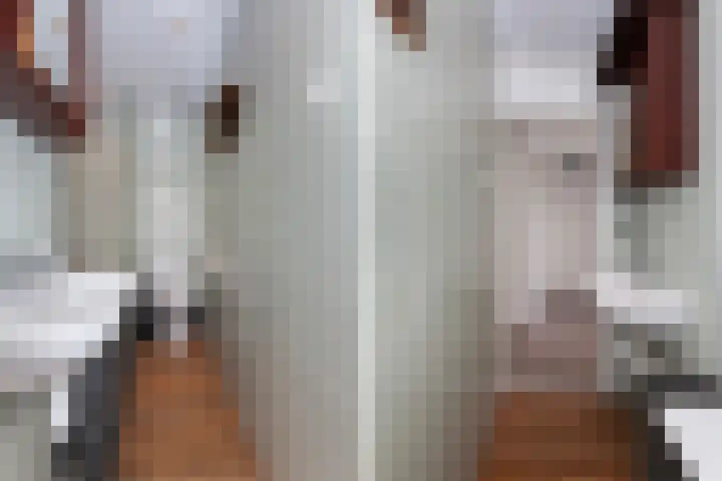 Vrijheer van Eslaan 467 Papendrecht thumbnail 18