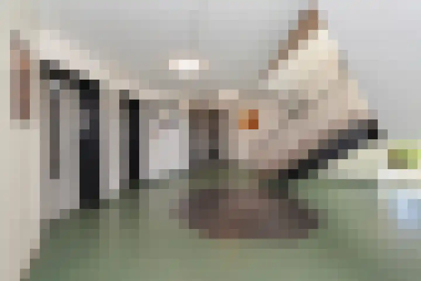 Vrijheer van Eslaan 467 Papendrecht foto 2