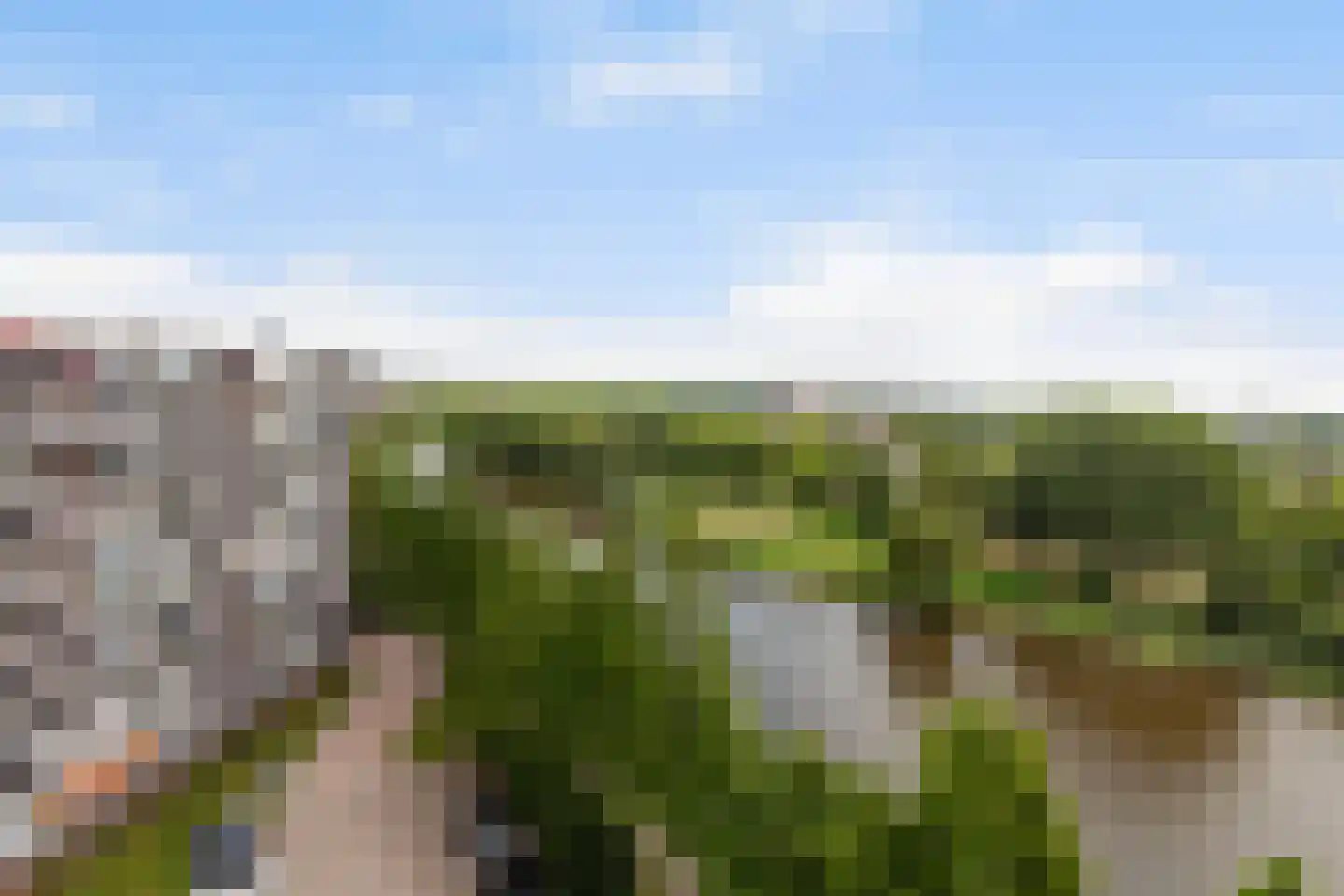 Vrijheer van Eslaan 467 Papendrecht thumbnail 25