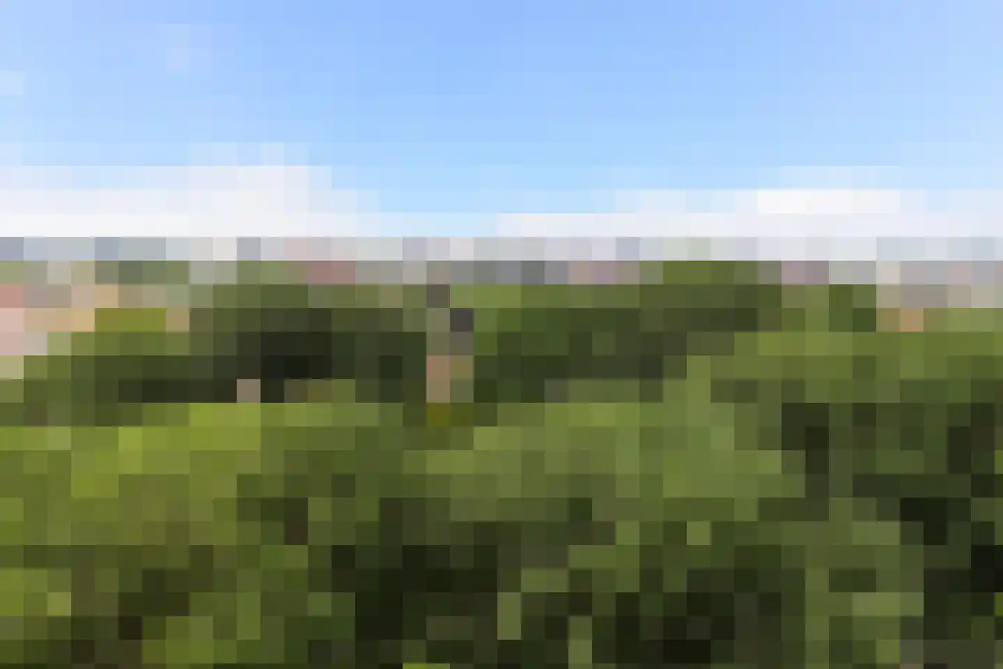 Vrijheer van Eslaan 467 Papendrecht thumbnail 26