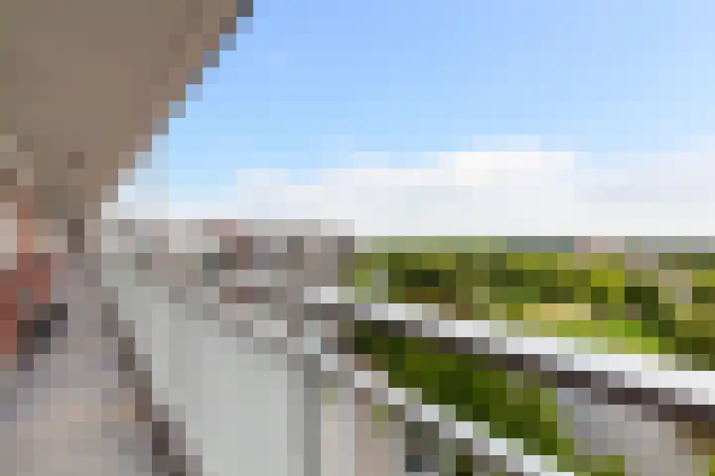 Vrijheer van Eslaan 467 Papendrecht foto 3