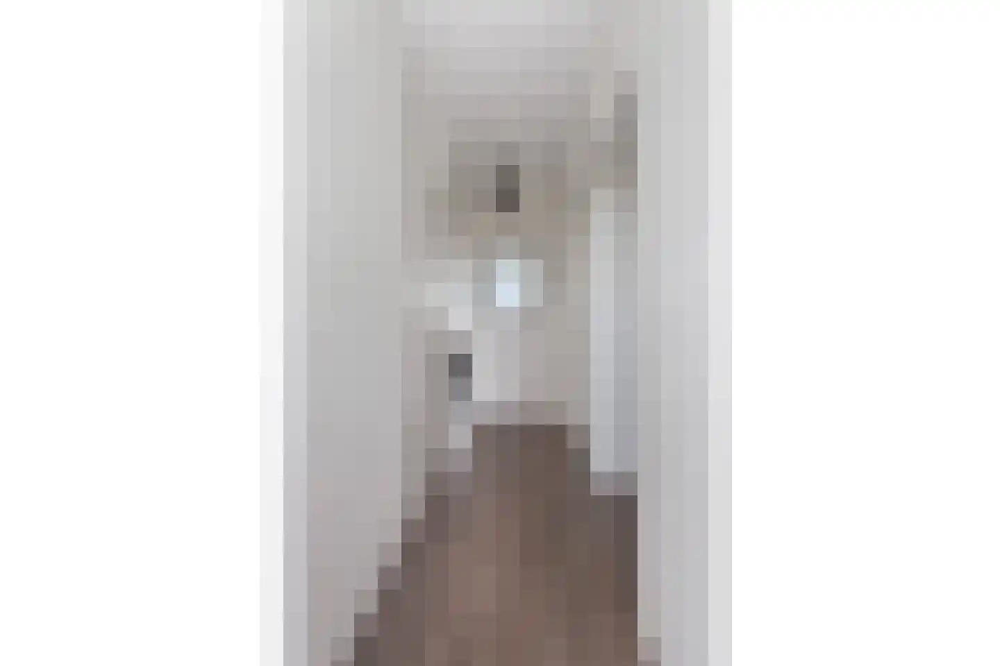 Vrijheer van Eslaan 467 Papendrecht thumbnail 4