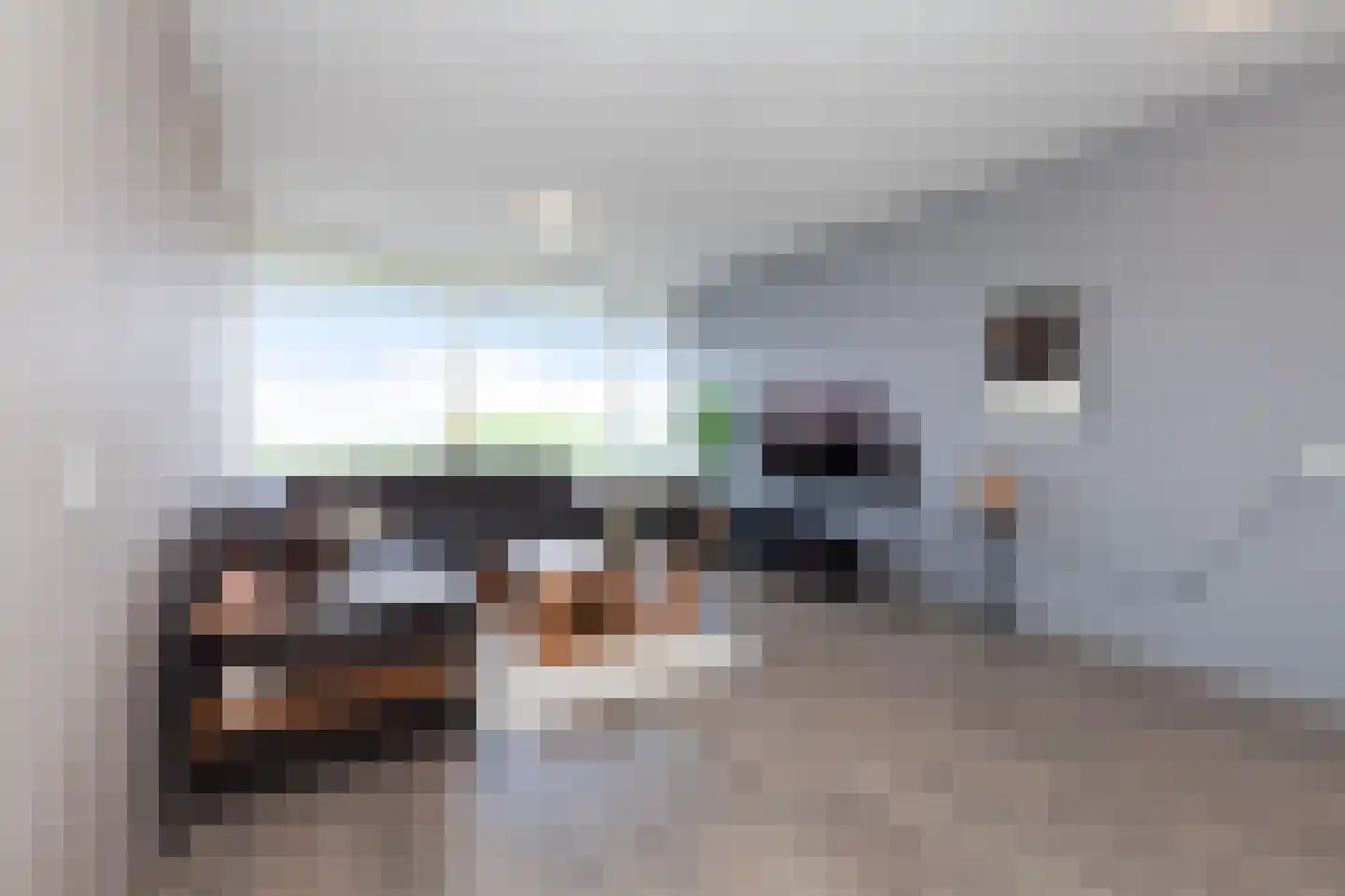 Vrijheer van Eslaan 467 Papendrecht thumbnail 6